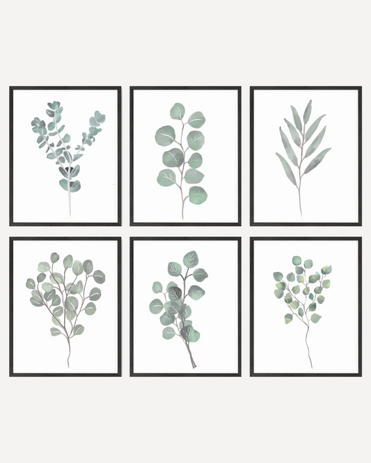 Botanical illustration