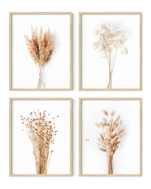 Brown plants