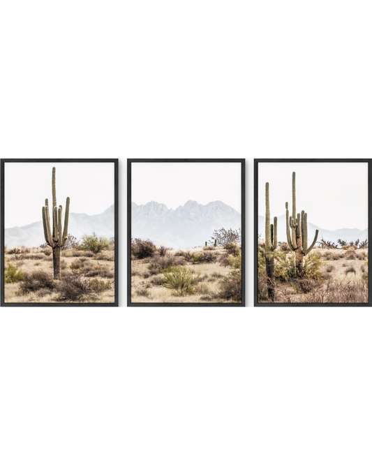 Desert