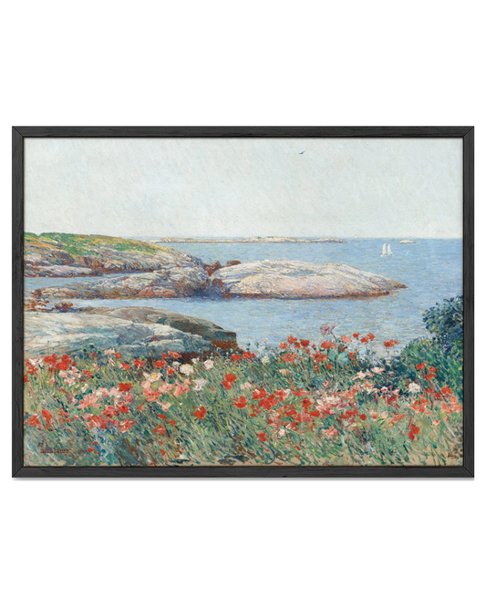 Poppies Art Print