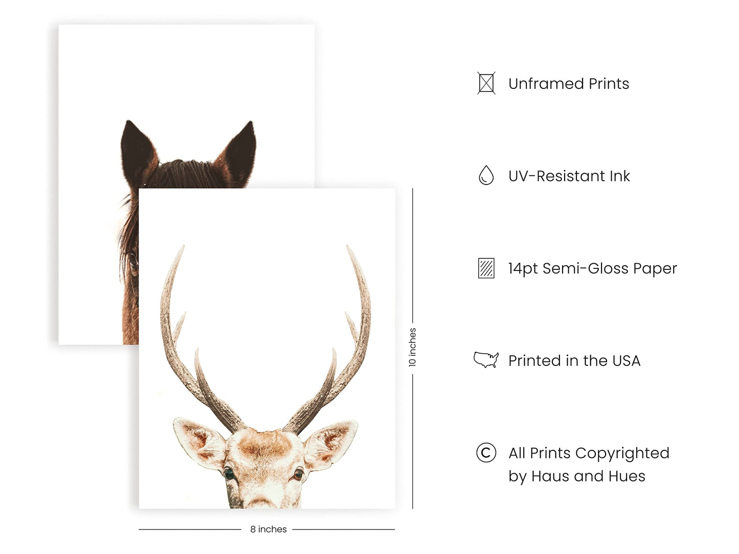 HAUS AND HUES Set of 4 Rustic Farm Animal Pictures - Horse Deer Cow and Goat Pictures Wall Decor | Farmhouse Pictures for the Home Modern Farmhouse Wall Decor for the Kitchen | 8" x 10" UNFRAMED