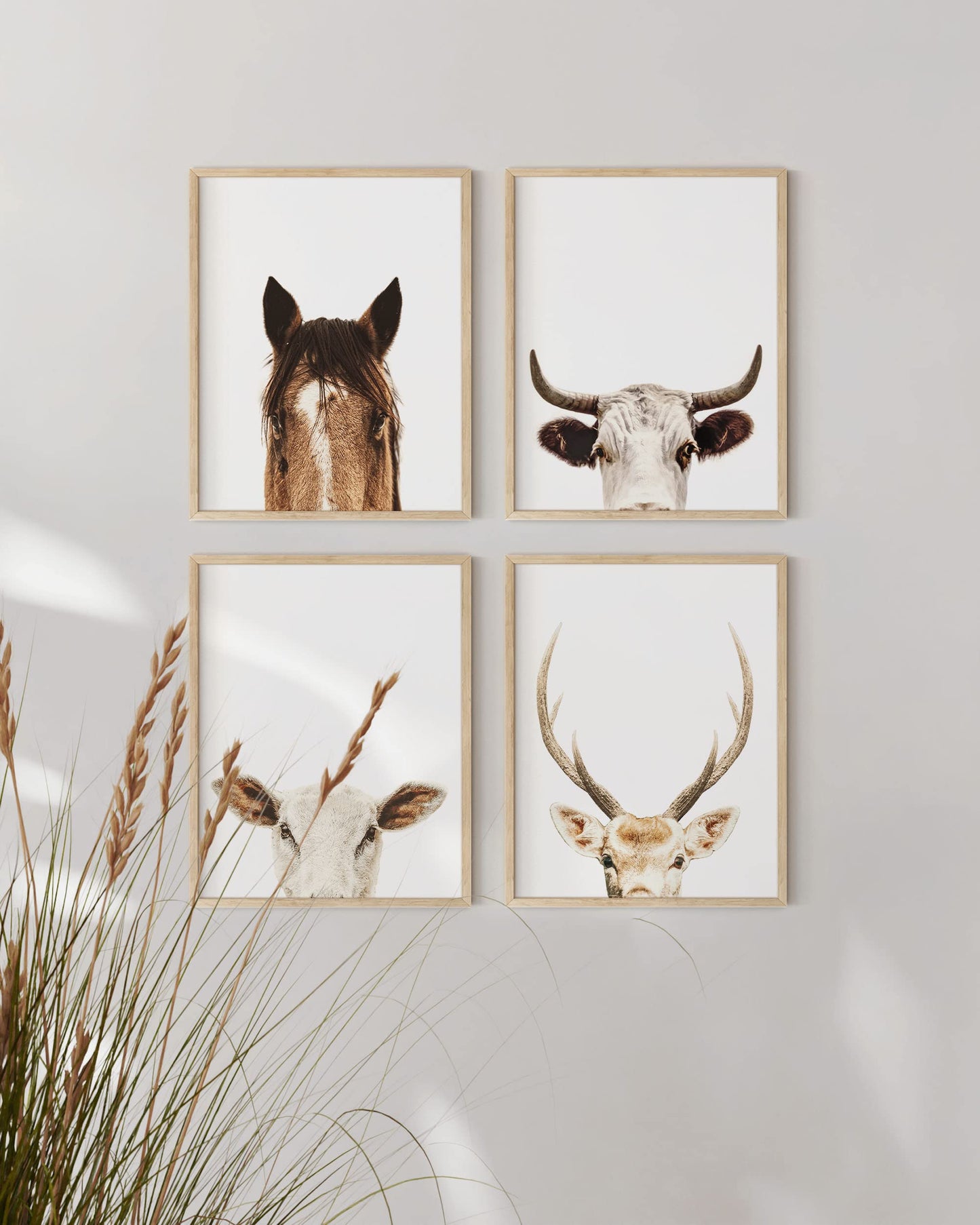 HAUS AND HUES Set of 4 Rustic Farm Animal Pictures - Horse Deer Cow and Goat Pictures Wall Decor | Farmhouse Pictures for the Home Modern Farmhouse Wall Decor for the Kitchen | 8" x 10" UNFRAMED