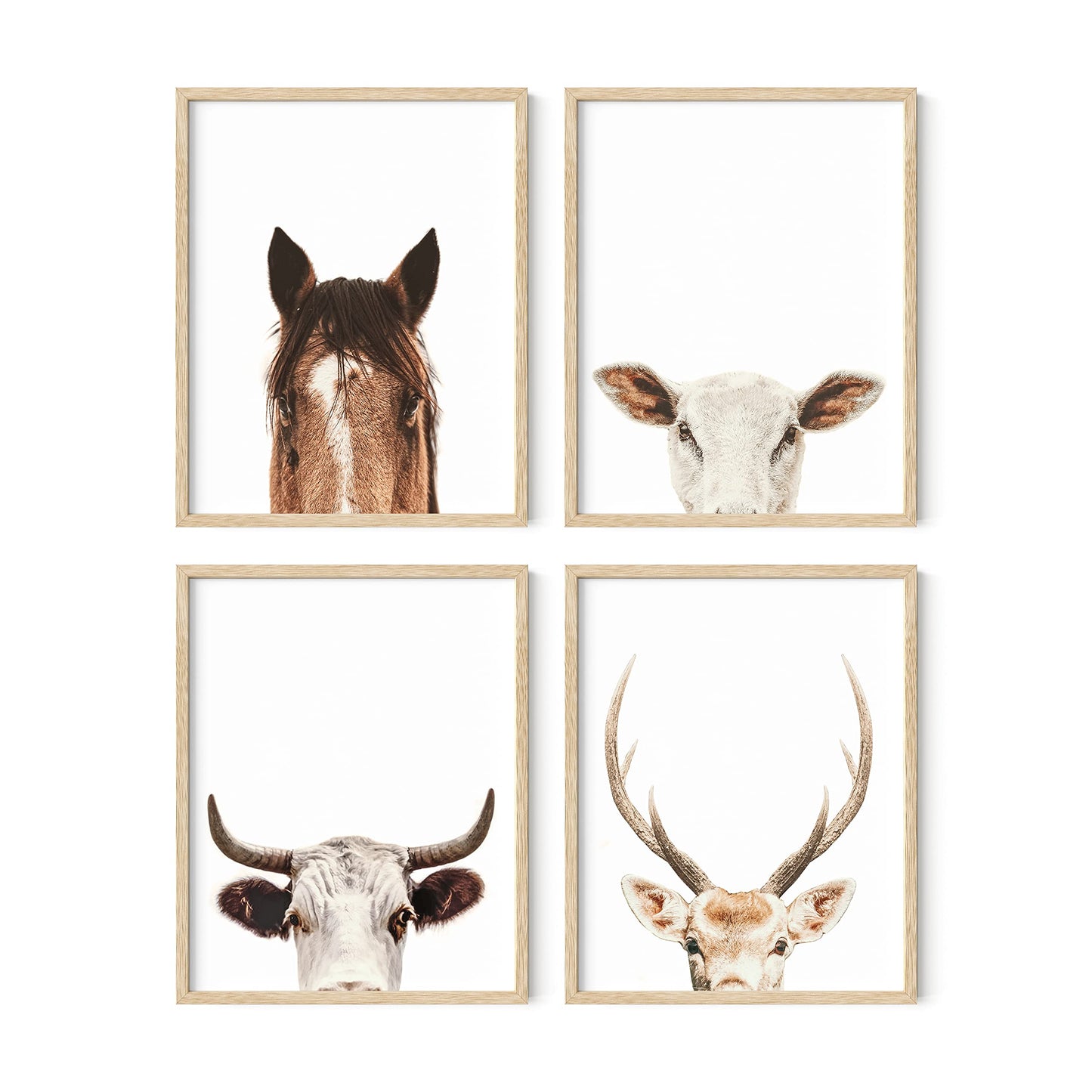 HAUS AND HUES Set of 4 Rustic Farm Animal Pictures - Horse Deer Cow and Goat Pictures Wall Decor | Farmhouse Pictures for the Home Modern Farmhouse Wall Decor for the Kitchen | 8" x 10" UNFRAMED