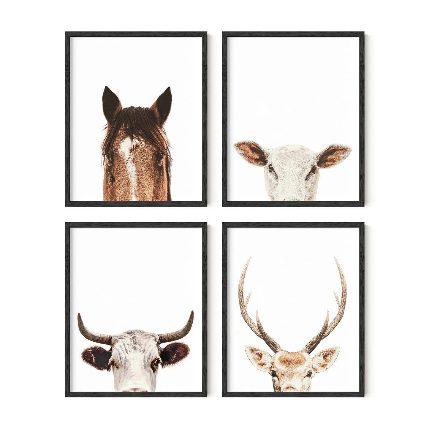 HAUS AND HUES Set of 4 Rustic Farm Animal Pictures - Horse Deer Cow and Goat Pictures Wall Decor | Farmhouse Pictures for the Home Modern Farmhouse Wall Decor for the Kitchen | 8" x 10" UNFRAMED