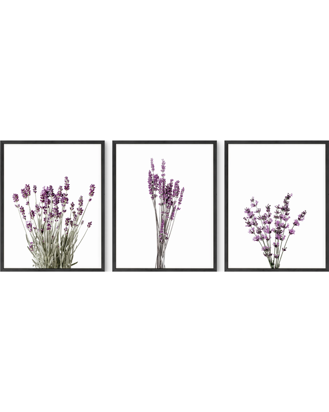 Lavender flowers