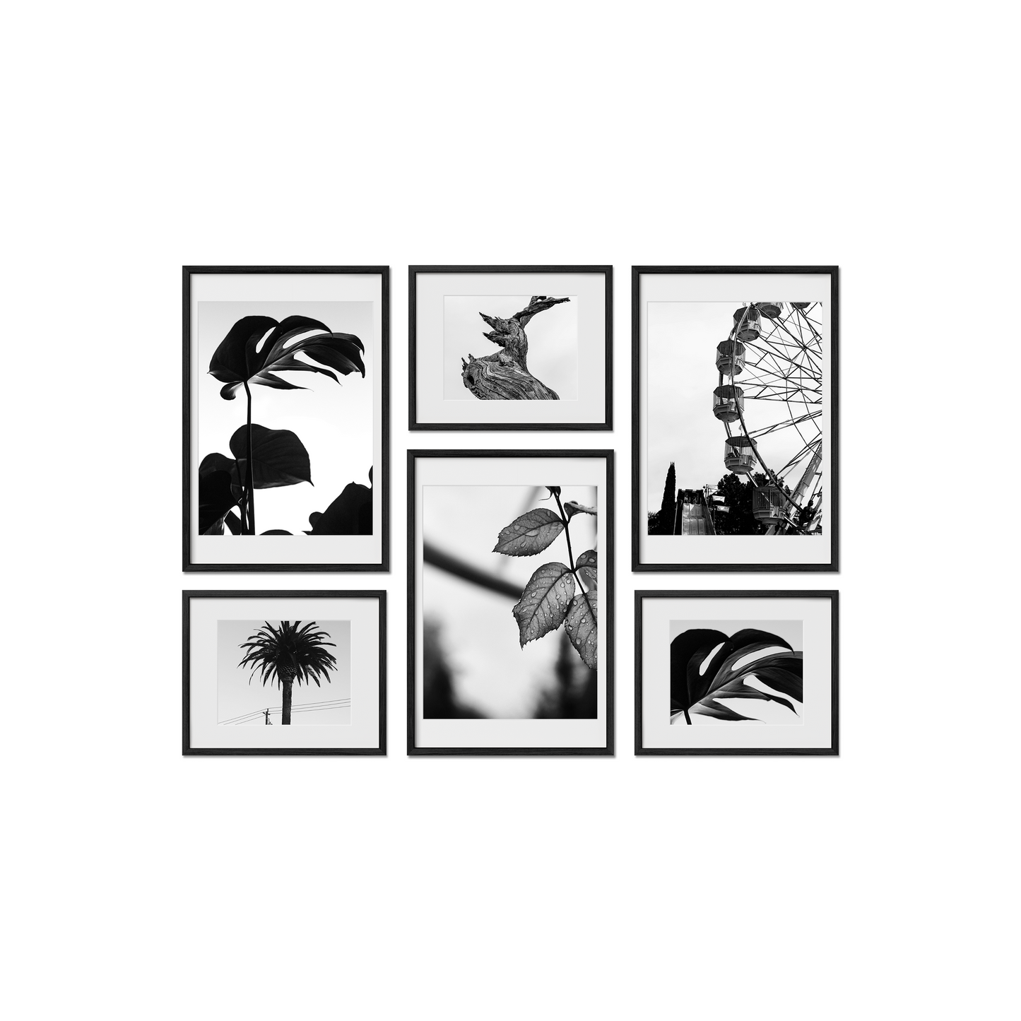 Cambridge Gallery Frames