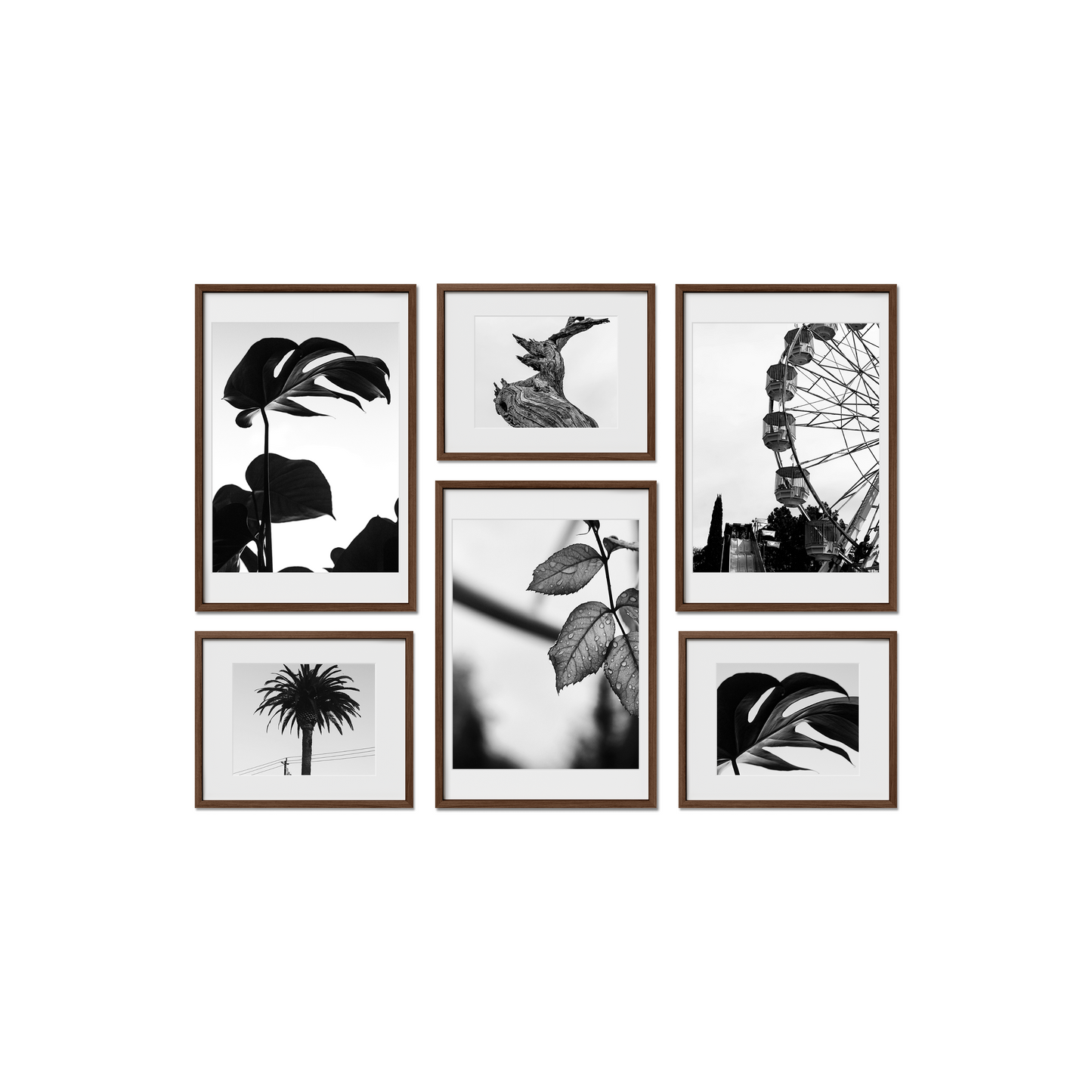 Cambridge Gallery Frames