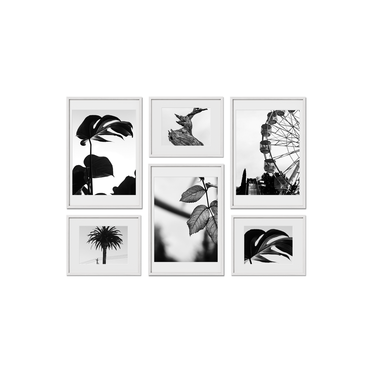 Cambridge Gallery Frames