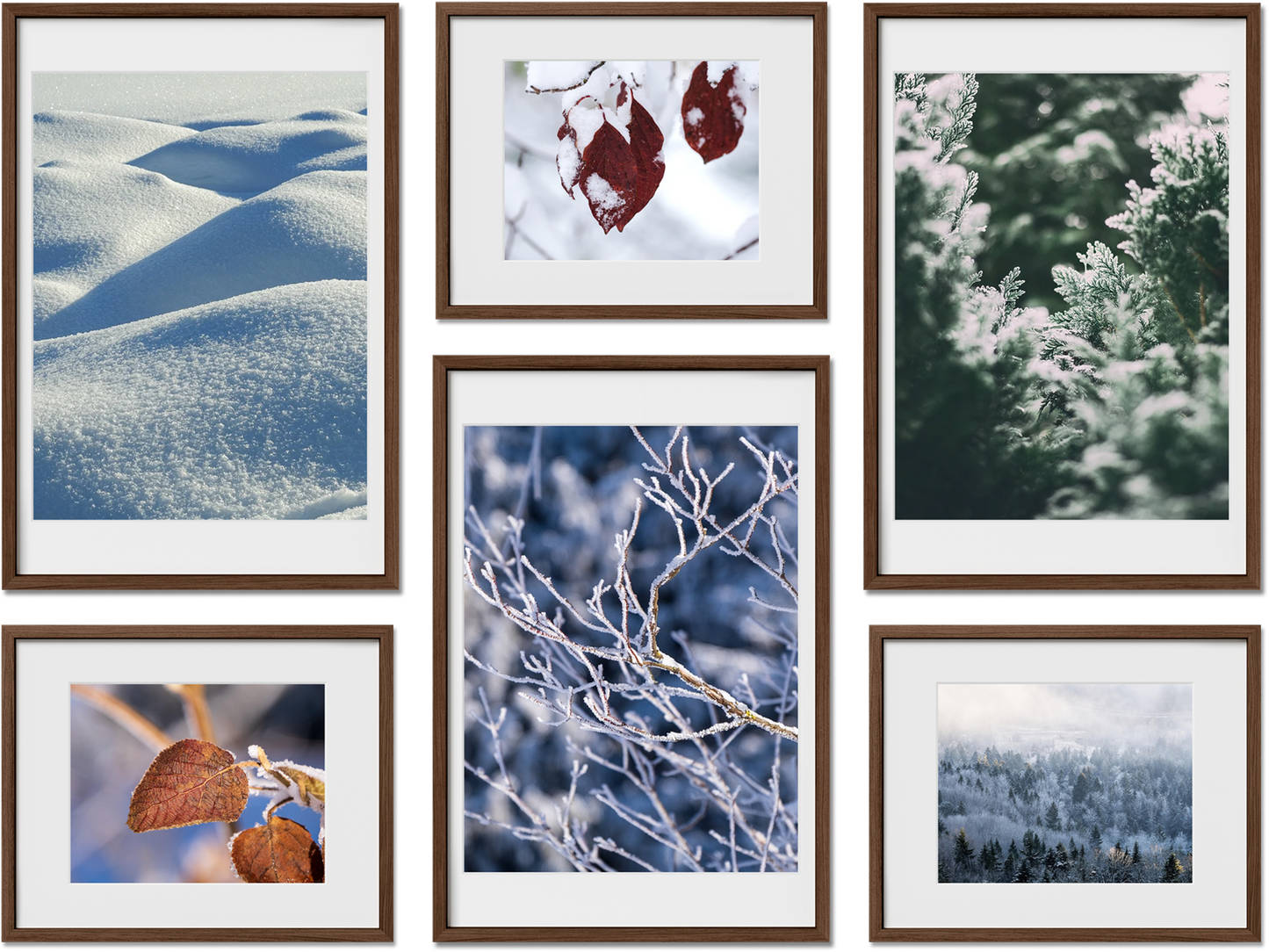 Cambridge metal frames featuring 10x10, 12x12, 5x7, 24x36 frames, perfect for poster art, offering glass fronts.