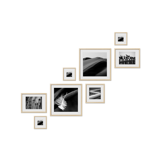 Carleton Gallery Frames