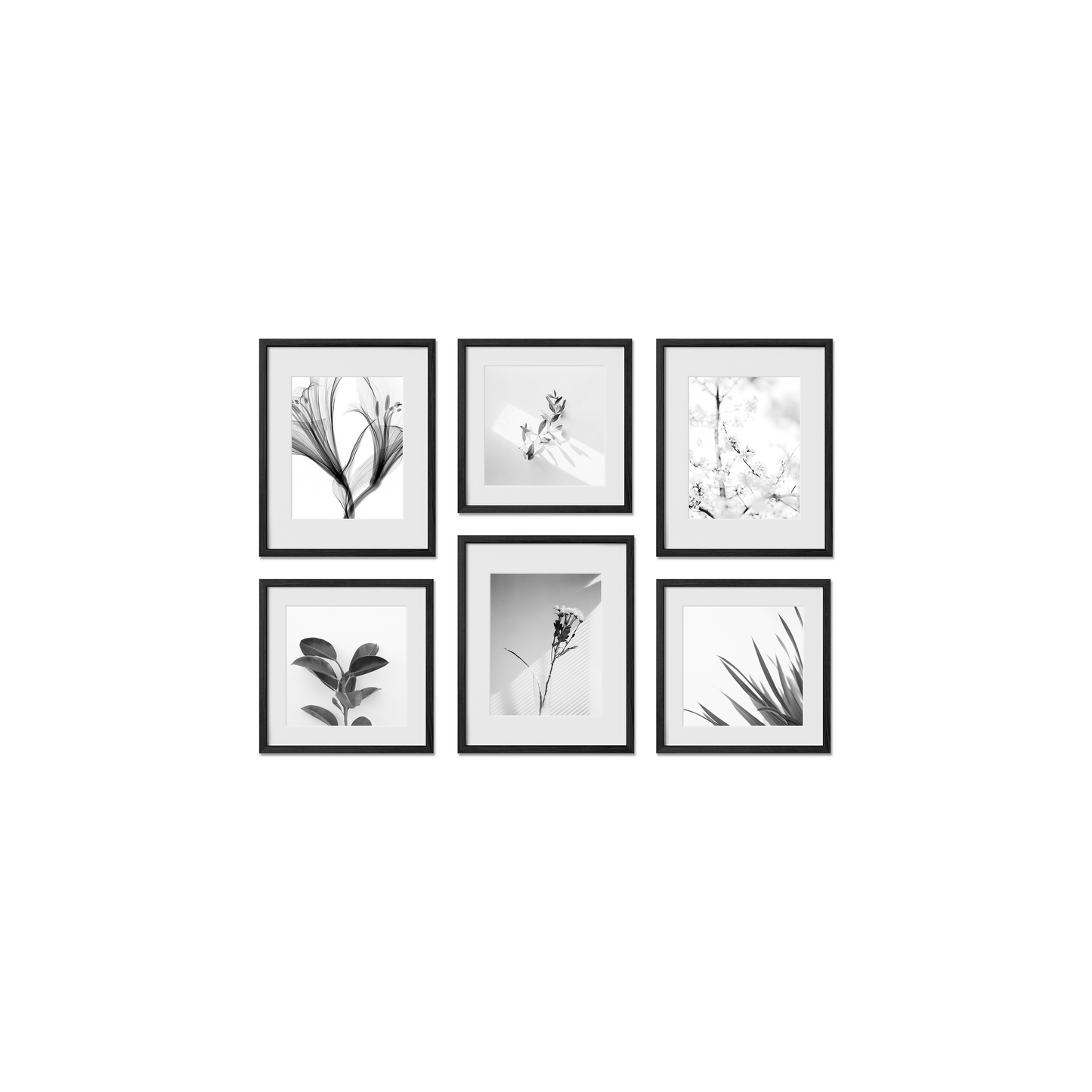 Chelsea Gallery Frames