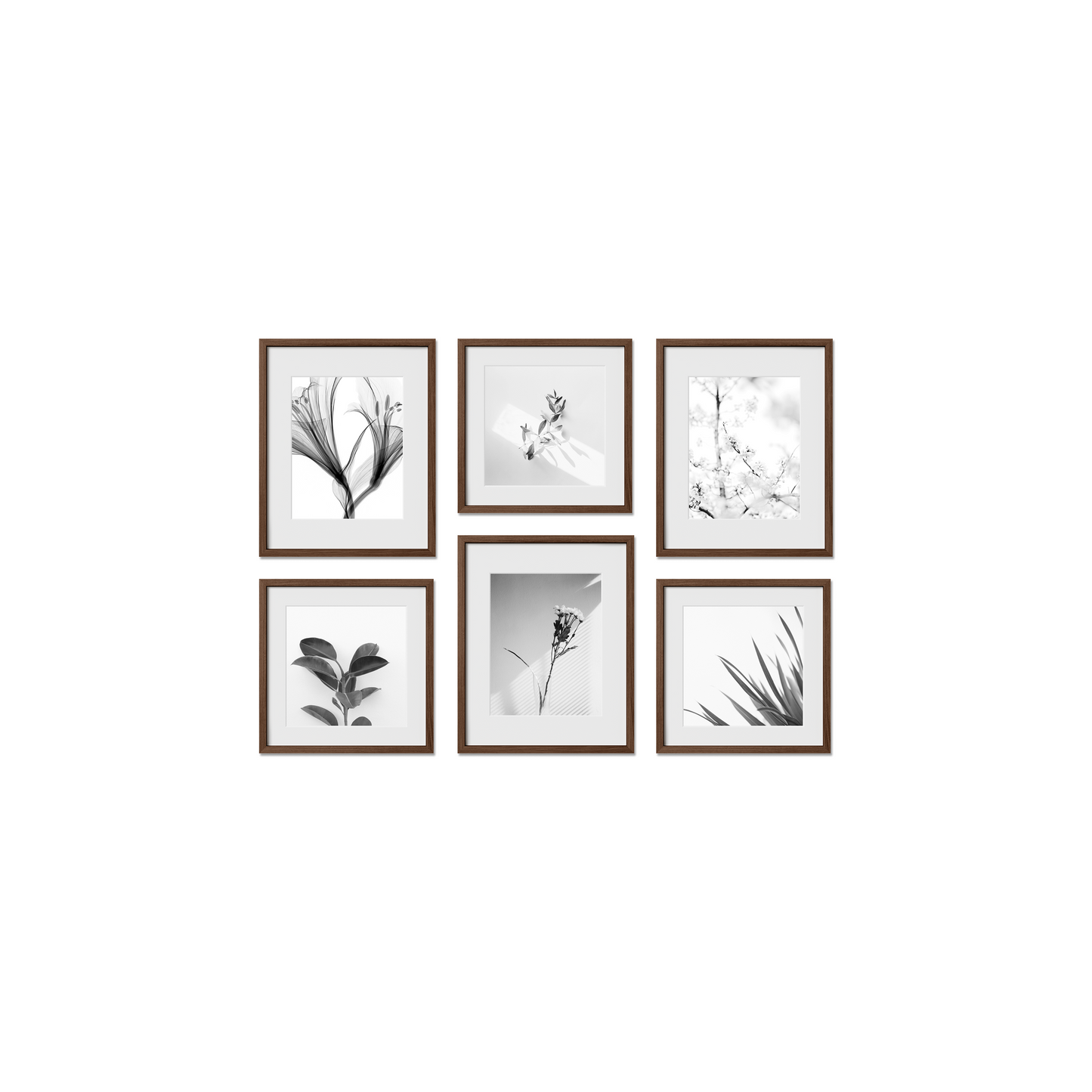 Chelsea Gallery Frames