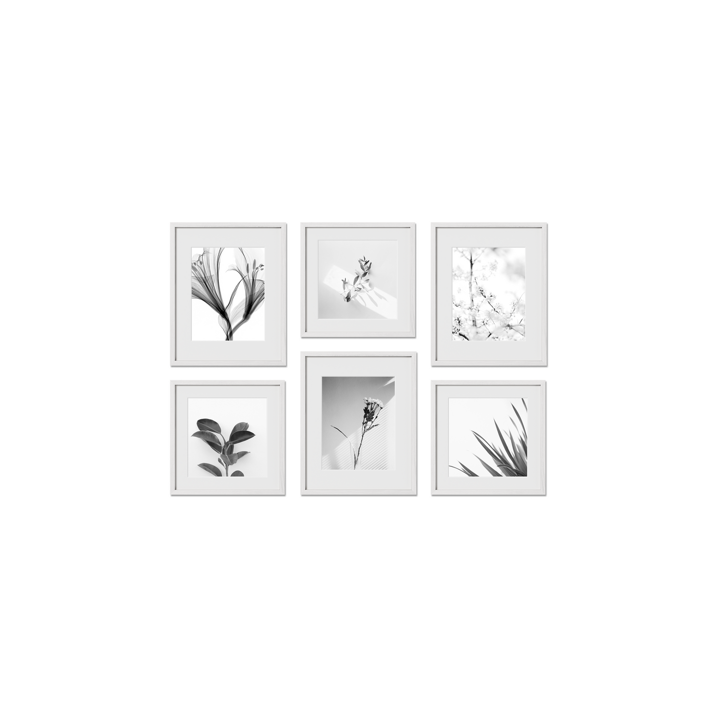 Chelsea Gallery Frames