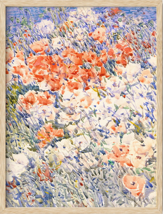 Multicolored Flowers