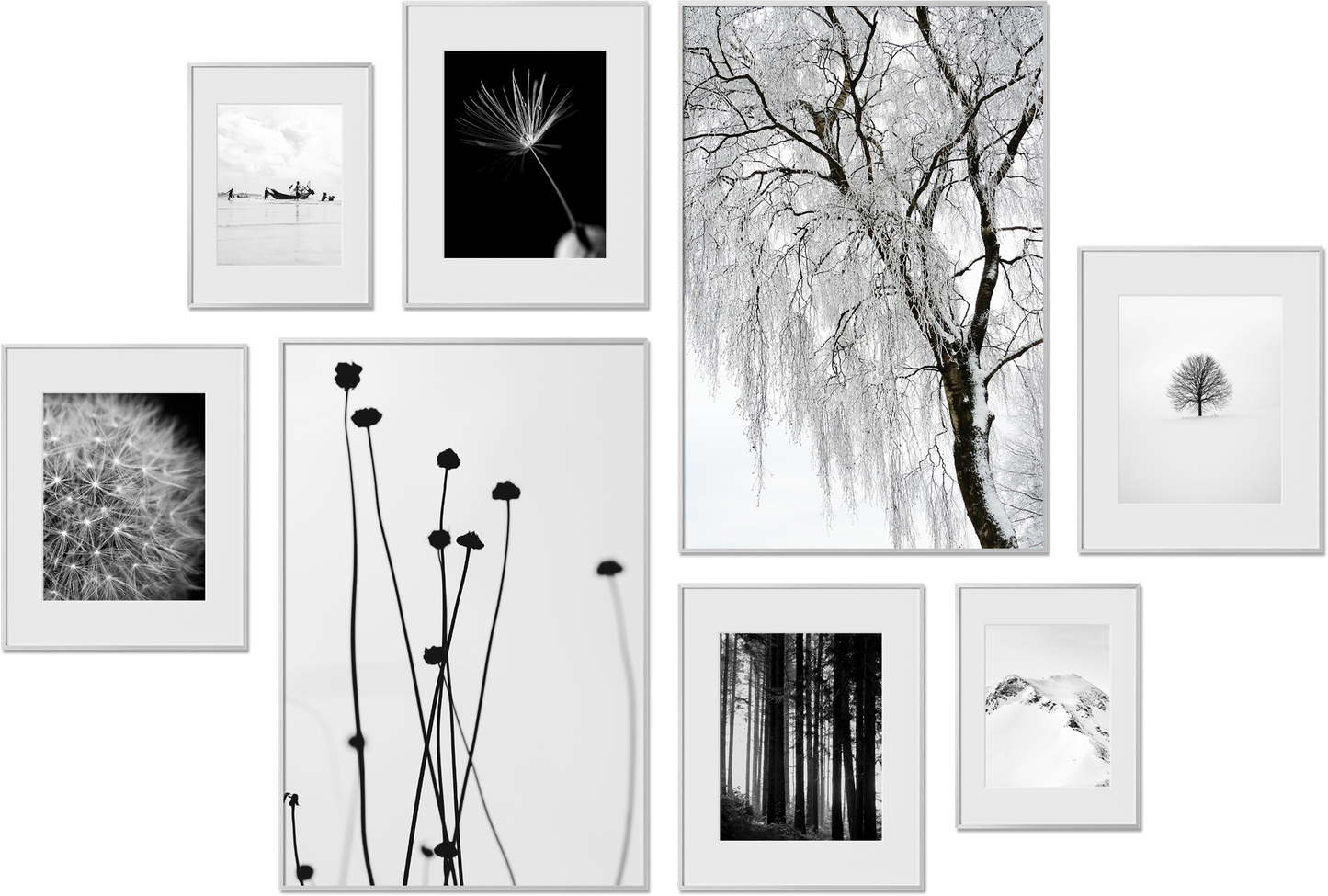 Newport frame collection featuring 11x14, 10x10, 12x12, 8.5x11 frames, perfect for interior design, offering plexiglass protection.