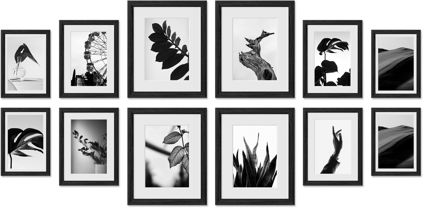 Richmond poster frames featuring 20x30, 12x16, 10x10, 5x7 frames, perfect for family photos, offering easy setup.