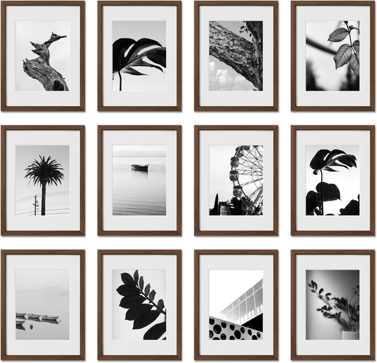 Set of 12 frame collection featuring 12x12, 20x30, 9x12, 5x7 frames, perfect for family photos, offering plexiglass protection.