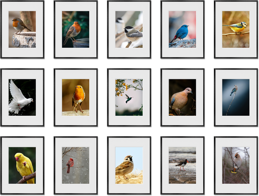 Set of 15 gallery wall set featuring 5x7, 12x12, 16x16, 16x20 frames, perfect for wall decor, offering minimalist style.