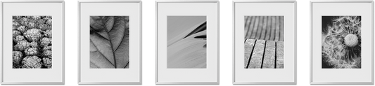 Set of 5 frame bundle featuring 11x14, 5x7, 24x36, 4x6 frames, perfect for living room decor, offering matted options.