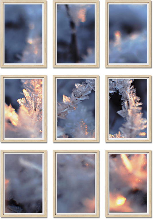 Set of 9 gallery wall set featuring 20x20, 8x10, 24x36, 20x30 frames, perfect for family photos, offering premium quality.