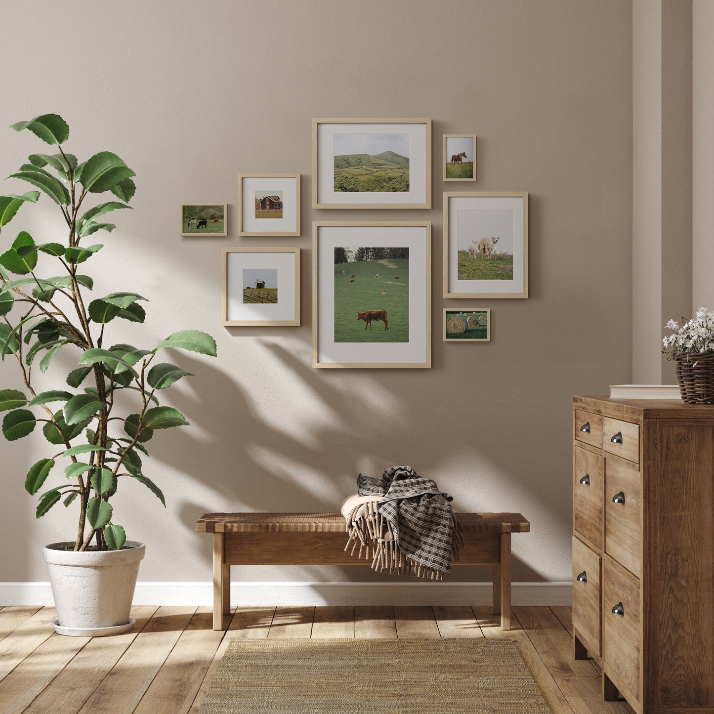 Dover Gallery Frames