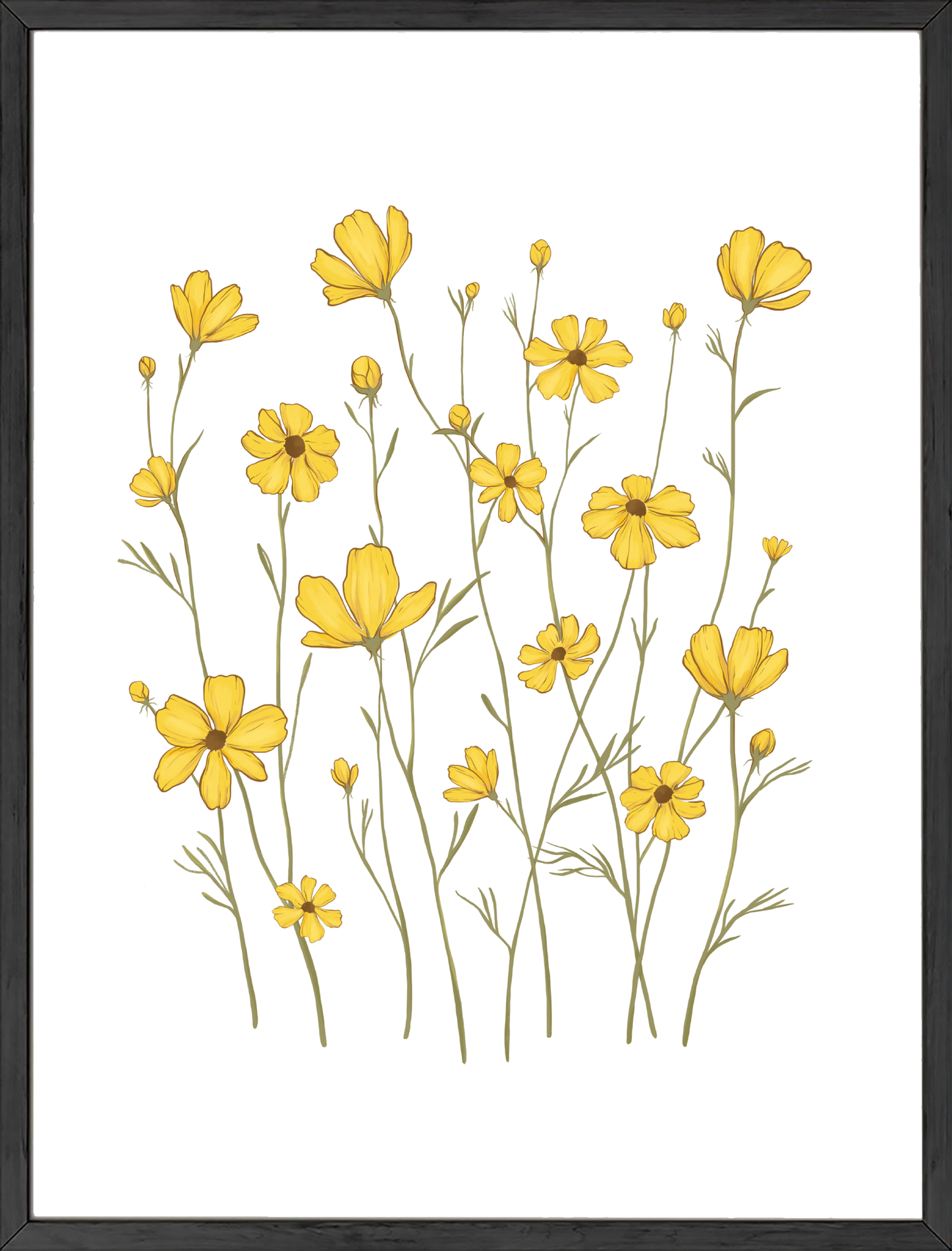 Yellow cosmos