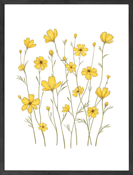 Yellow cosmos
