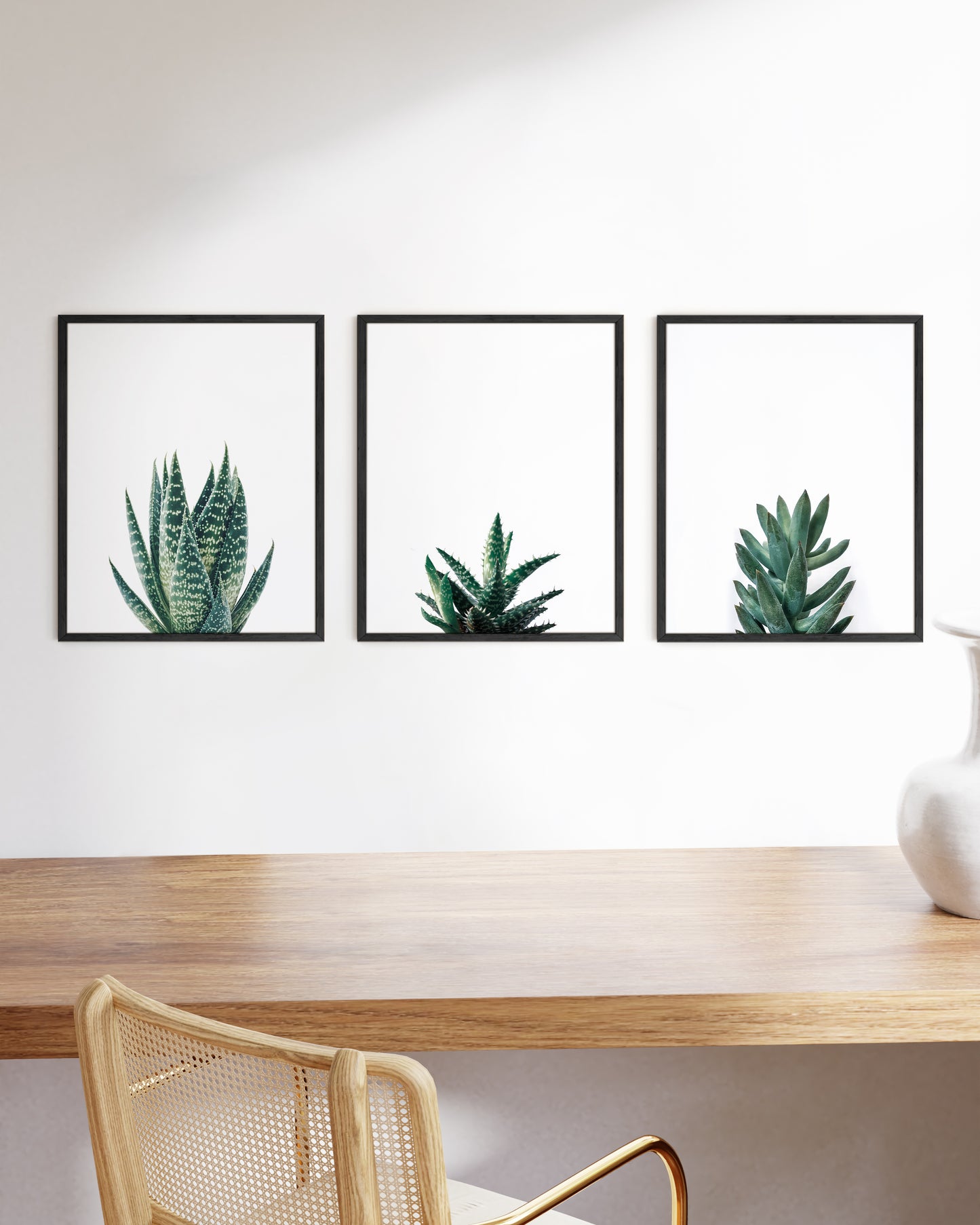Succulent plants