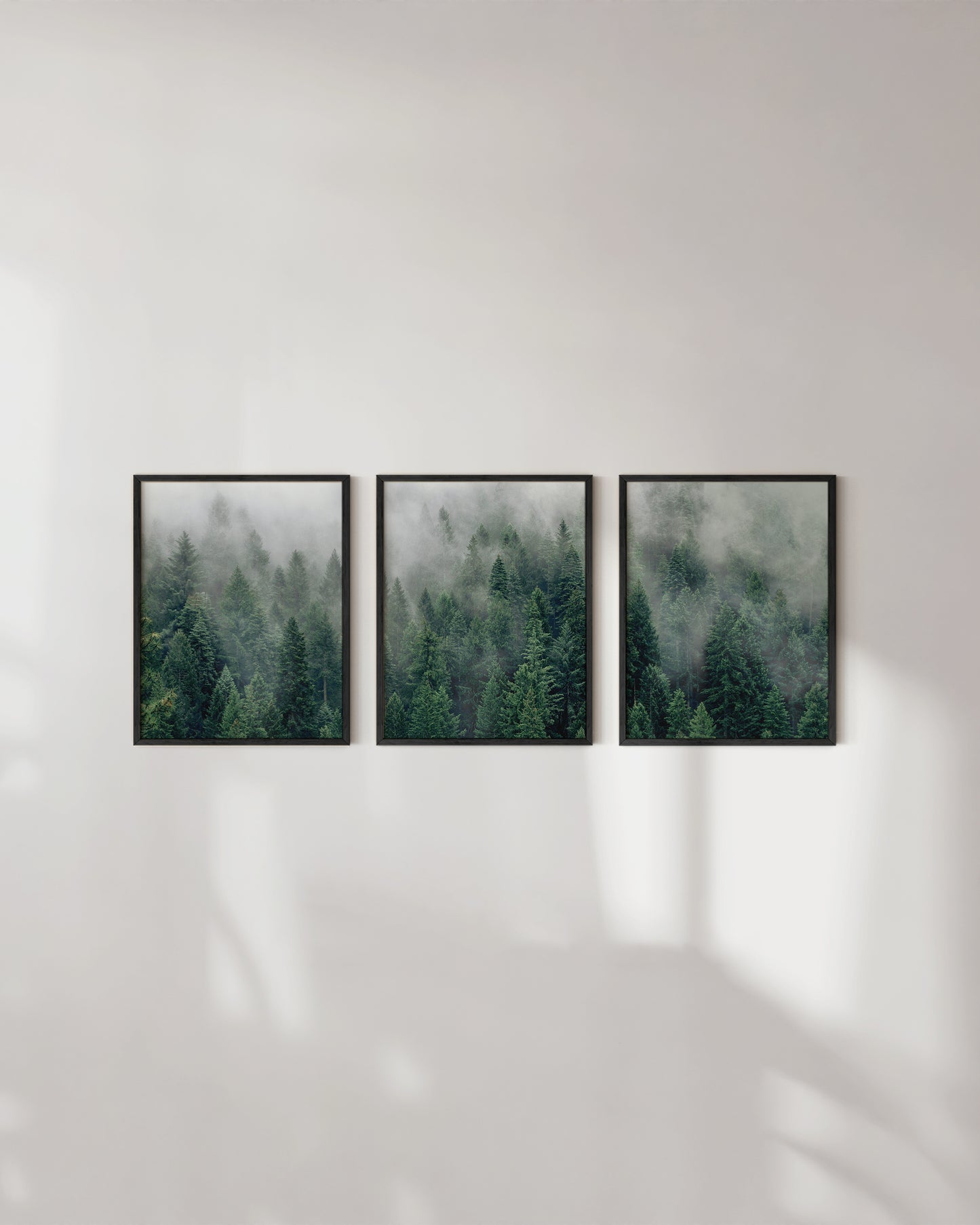 Forest fog