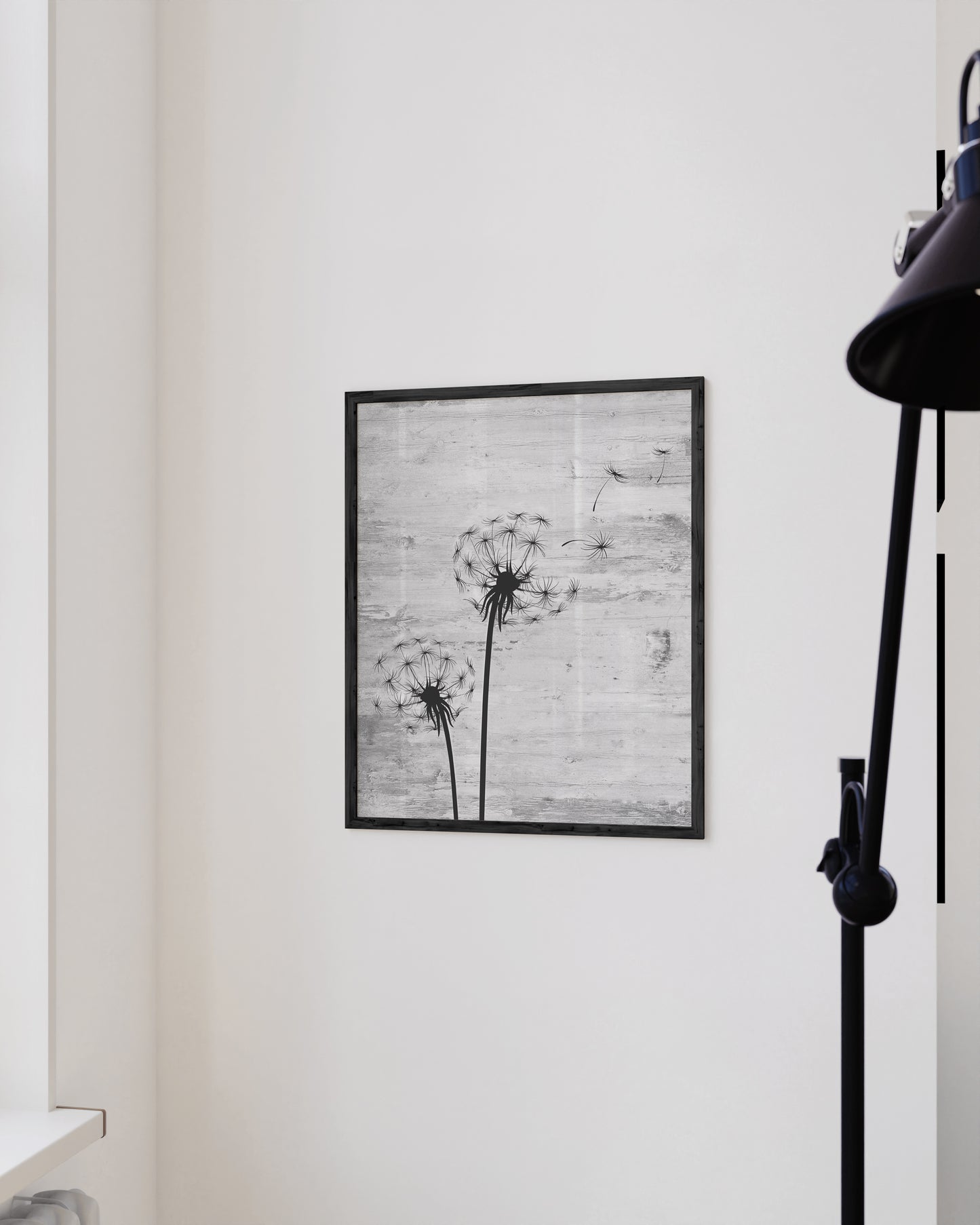 Gray dandelion
