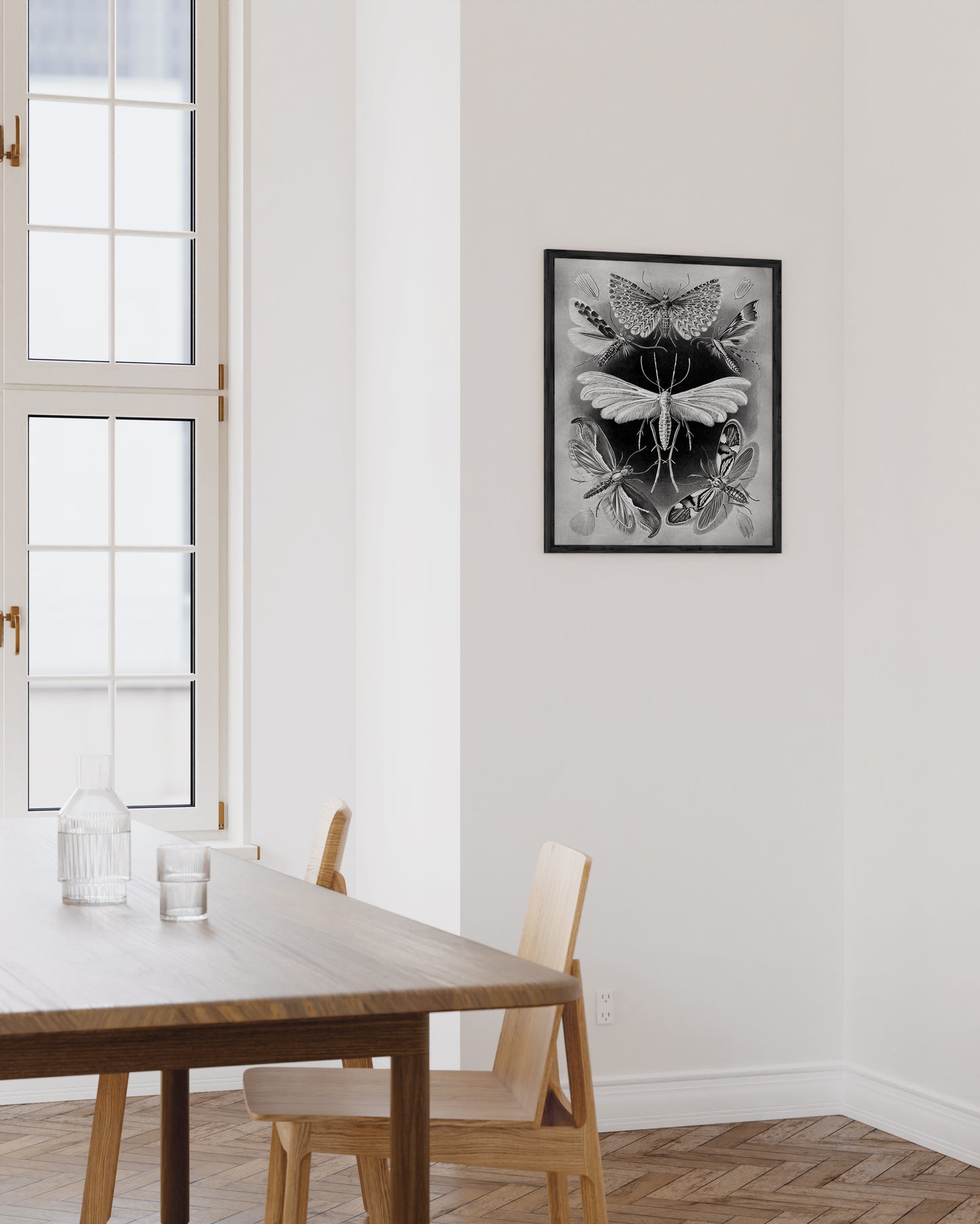 Moths by ernst haeckel