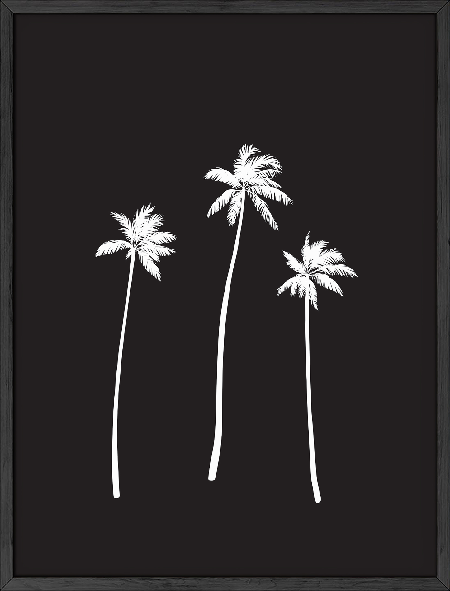 Palm Trees