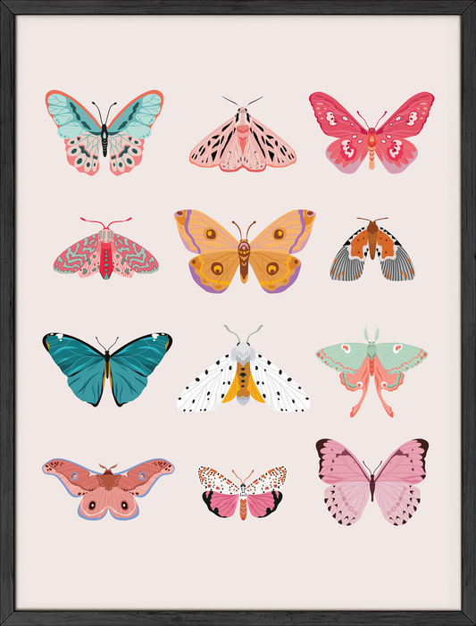 Butterfly collage