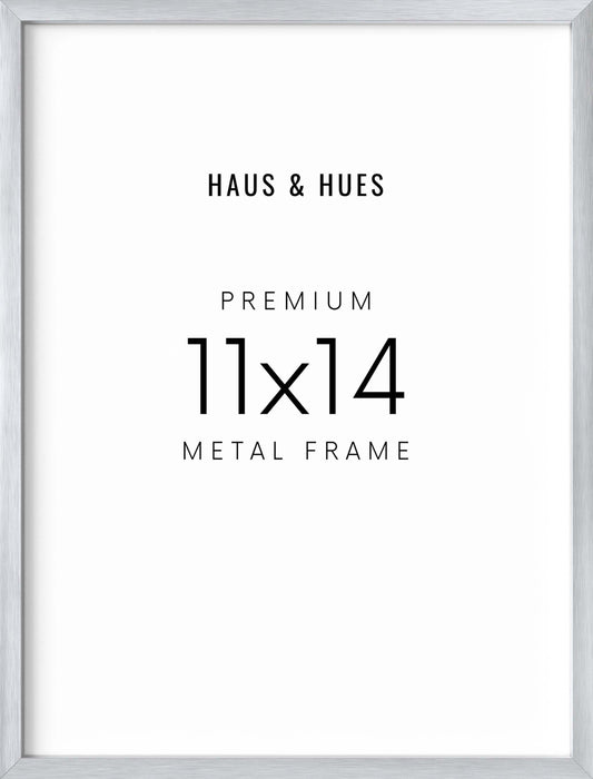 11x14, Silver Aluminum Plexi Frame