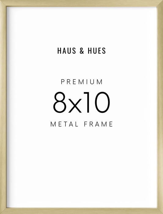 8x10, Gold Aluminum Plexi Frame