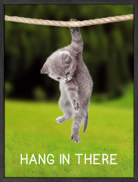 Hang in there