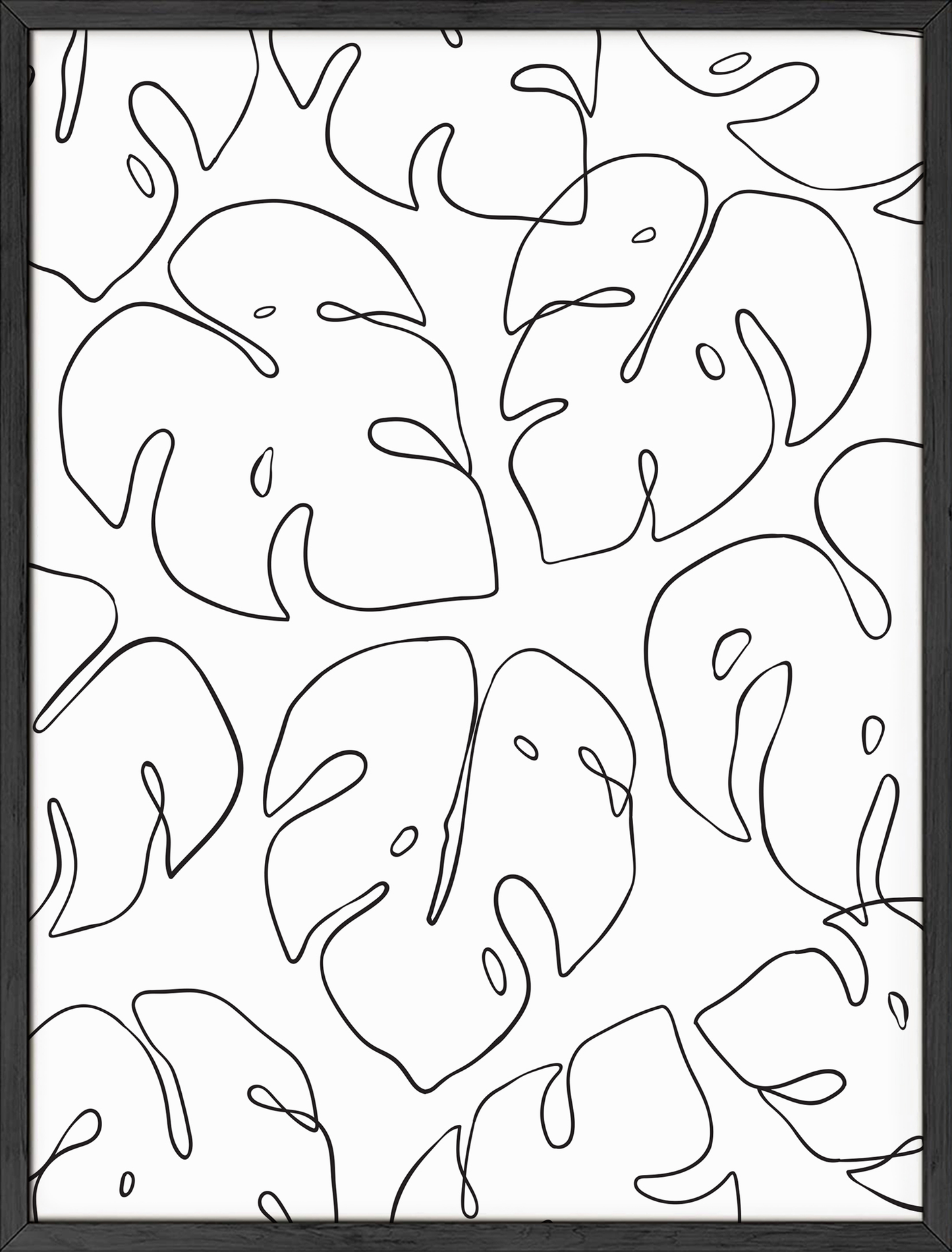 Monstera Leaves