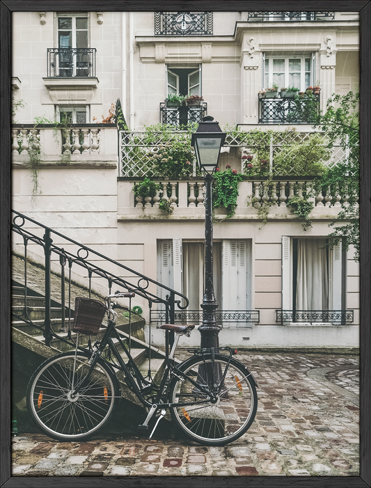 Paris bicycle