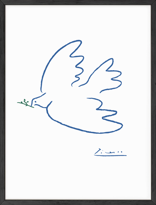 Picasso dove