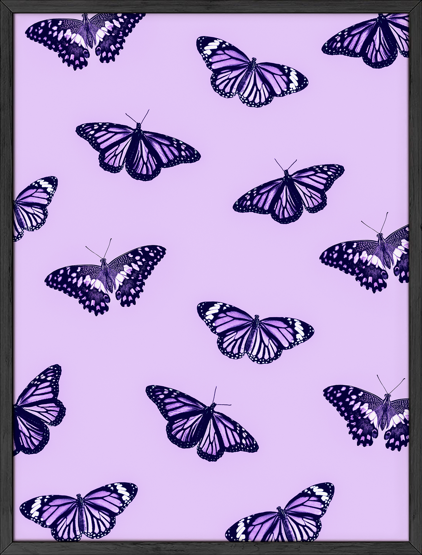 Purple Butterflies