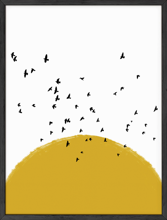 Sun and birds