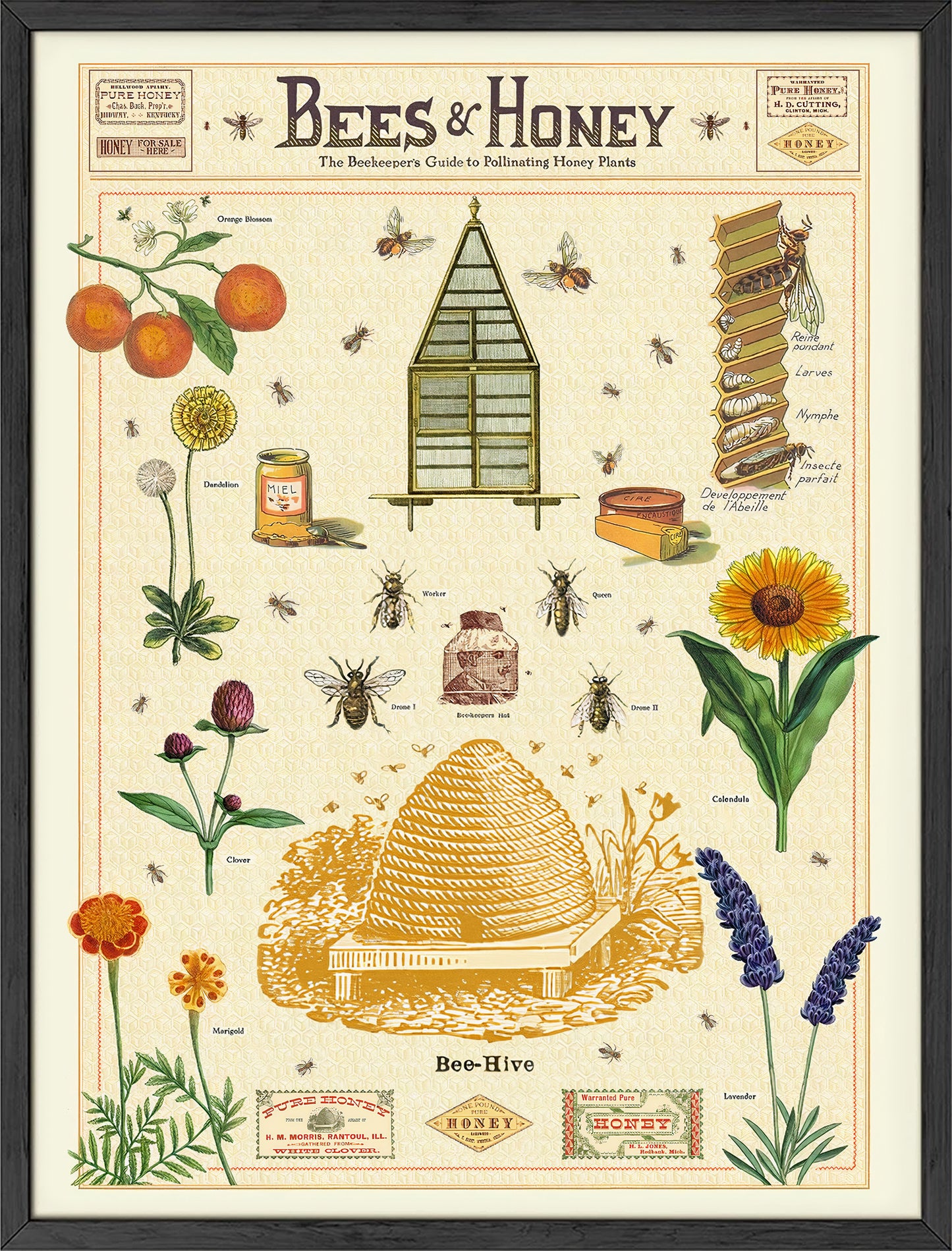 Cavallini Honey Bee