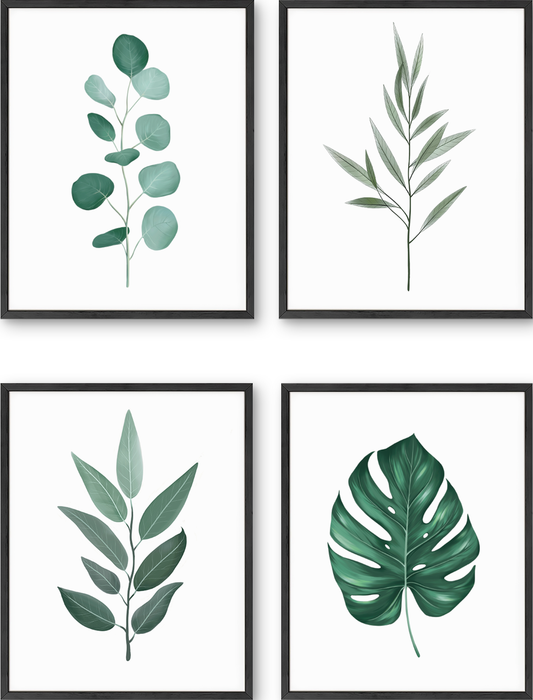 Botanical illustration