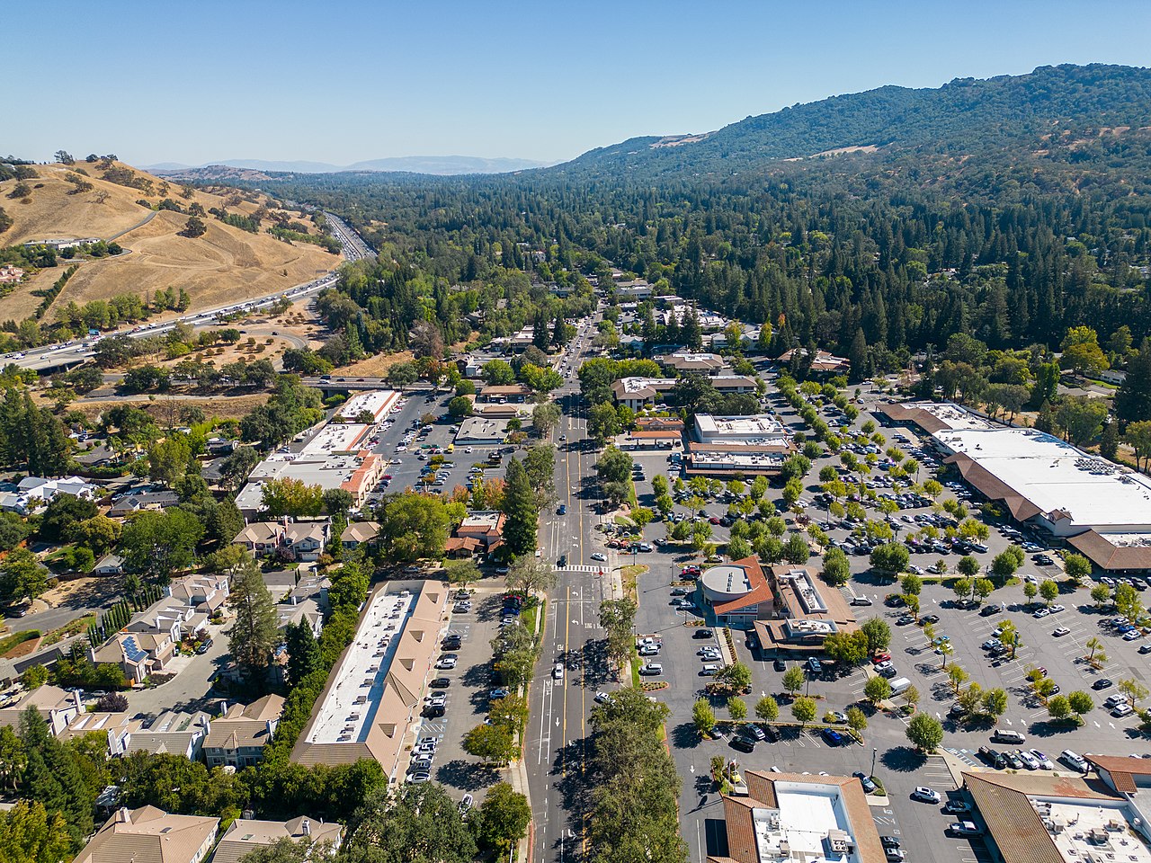 Haus and Hues in Alamo, California