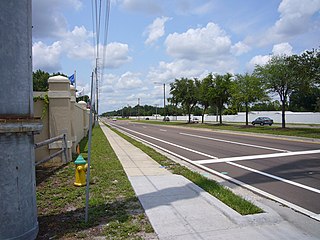 Haus and Hues in Town 'n' Country, Florida