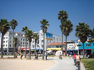 Haus and Hues in Venice, California