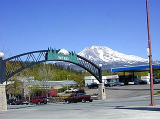 Haus and Hues in Weed, California