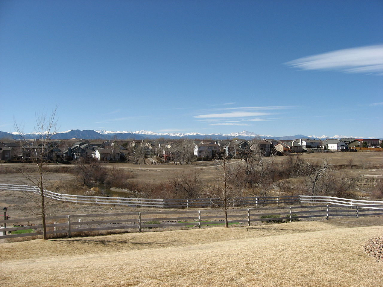 Haus and Hues in Westminster, Colorado