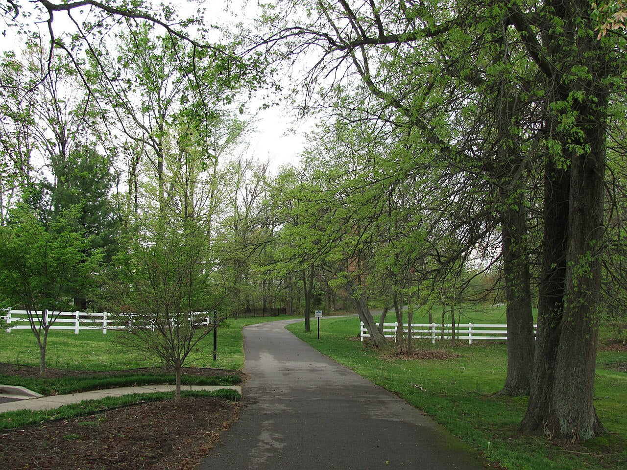 Haus and Hues in White House, Tennessee