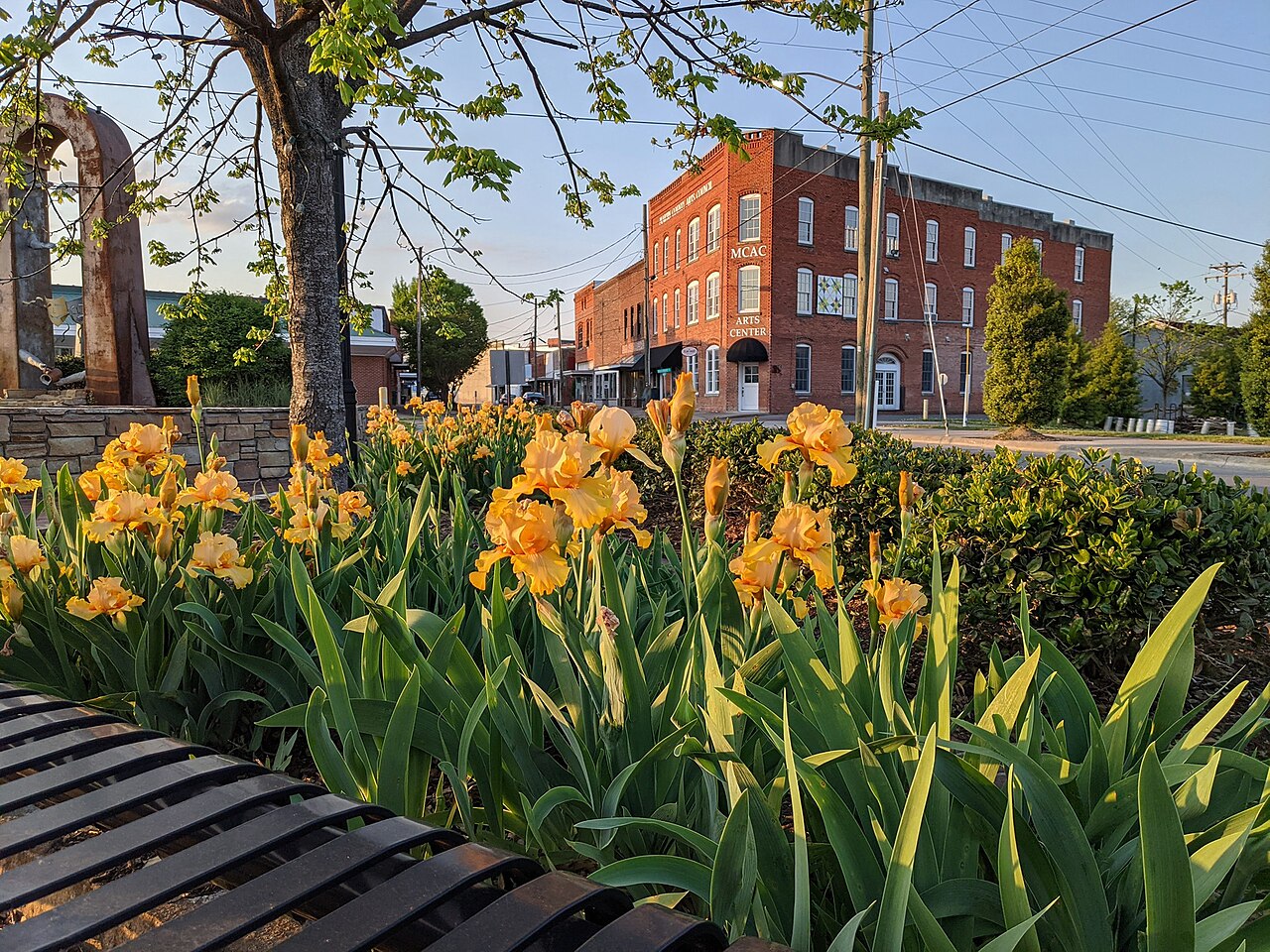 Haus and Hues in Williamston, North Carolina